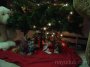 DSC00133 * 2048 x 1536 * (1.39MB)