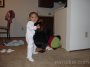 DSC00252 * 2048 x 1536 * (1.27MB)