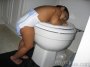 IMG_1407 * Nice place to have a nap!!! * 2272 x 1704 * (1.37MB)