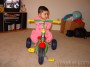 DSC02270 * 1600 x 1200 * (851KB)