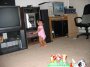 IMG_0391 * 2272 x 1704 * (1.9MB)