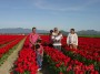 DSC01902 * 1600 x 1200 * (849KB)