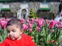 DSC01769 * 1600 x 1200 * (878KB)